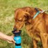 Портативная бутылка-поилка для собак в дорогу СТ 550мл (Aqua Dog, голубая)