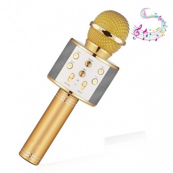 Беспроводной микрофон колонка для караоке Ster 858 (98324710) Gold