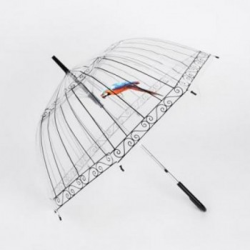 Прозрачный купольный зонт Supretto, с оригинальным дизайном